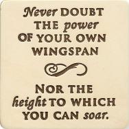 Never Doubt The Power of Your Wingspan Angel Gift