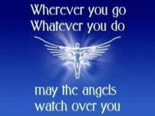 Angel Feathers