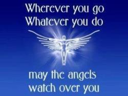 Angel Feathers